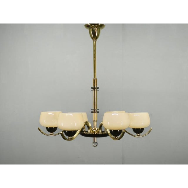 Italian Brass Chandelier with Opaline Glass Shades, 1950s For Sale - Image 16 of 17