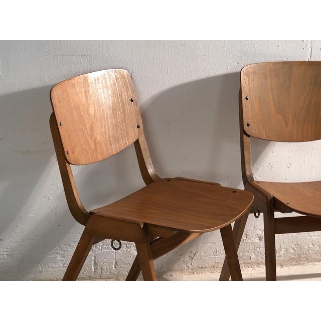 Set of Vintage Chairs from Thonet, 1950 For Sale - Image 3 of 13