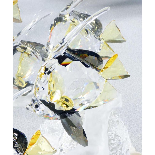 Wonders of the Sea Figurine by Swarovski For Sale - Image 9 of 18
