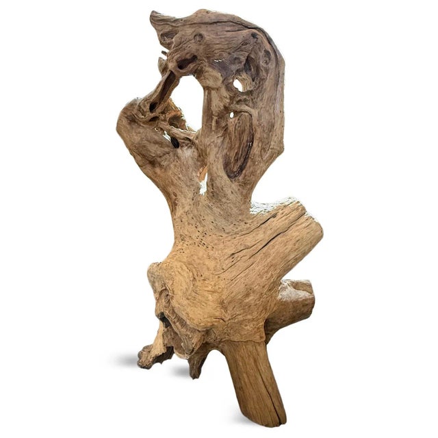 Wood Vintage Giant Teak Root Throne Chair For Sale - Image 7 of 11