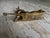 Brass Reclining Brass Reindeer, Mid-Century For Sale - Image 8 of 8