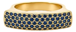 David Vangelder of Paris 18k Rose Gold Sapphire Ring, Size 6.5