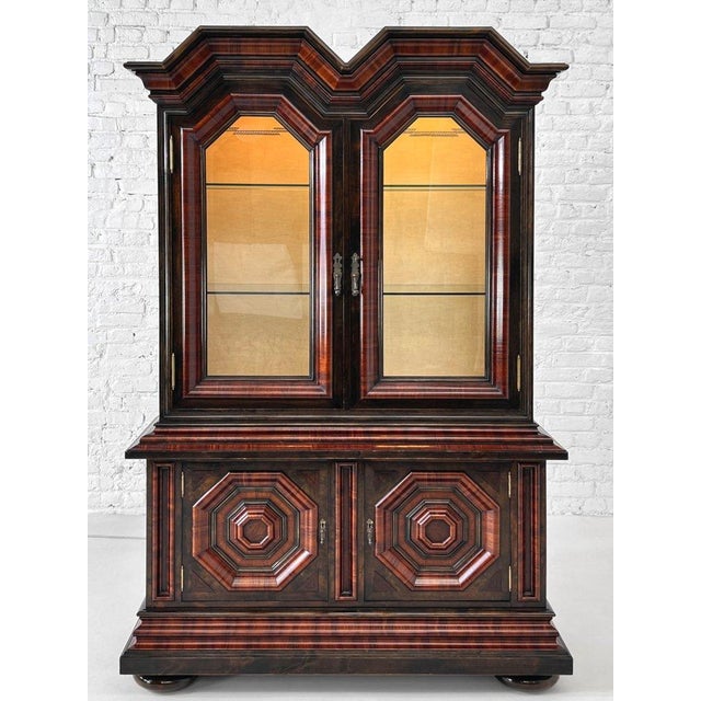 19th Century Kussenkast Display Bookcase in Wood Marquetry, Glass and Velvet For Sale - Image 6 of 12