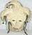 Paper Mexican Papier Mache Payaso Jester Mask signed Orozco c. 1950s For Sale - Image 7 of 10