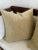 Shabby Chic Pair of Cut Velvet Pillows Feather Down Inserts For Sale - Image 3 of 5