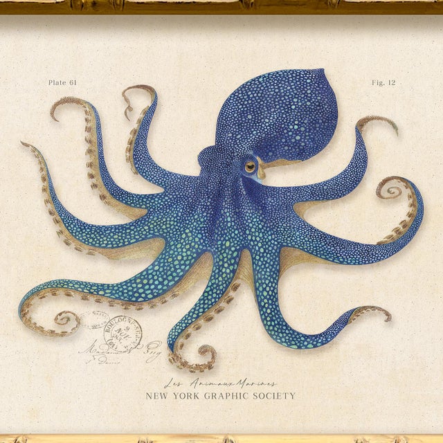 Contemporary Contemporary Reproduction of Vintage "Blue Octopus" Giclee Print, Framed For Sale - Image 3 of 4