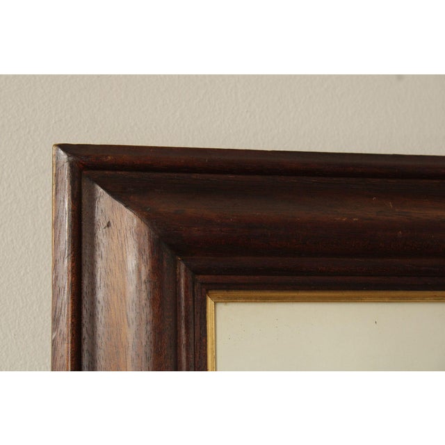 Vintage Ornithological Print, 'Gallus Lafayettii' For Sale In Philadelphia - Image 6 of 12