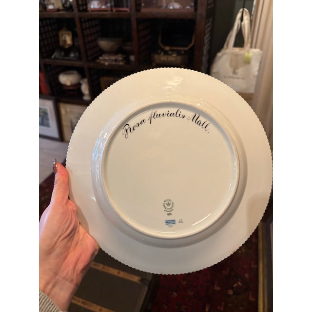 Neoclassical Rare Vintage Royal Copenhagen Flora Danica Porcelain Place Setting – Hand-Painted Botanical Service (5 Pieces) [Sp] For Sale - Image 3 of 12
