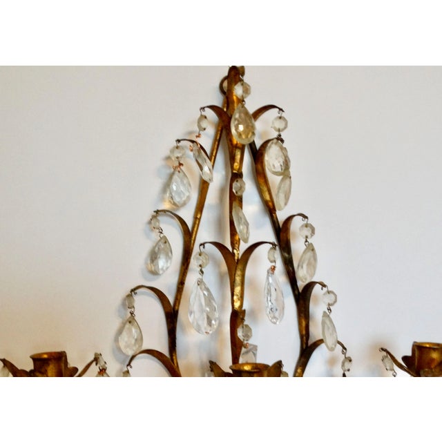 Italian Tole Gold Triple Arm Candle Wall Sconce With Crystals For Sale - Image 4 of 12