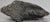 French Early 19th Century Antique Wooden Lion on Red Ball Carving For Sale - Image 3 of 9