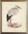 White Stork in Distressed Metallic Frame 17x21 For Sale