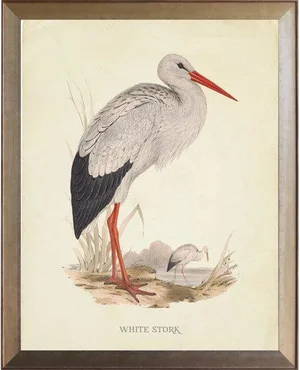 White Stork in Distressed Metallic Frame 17x21