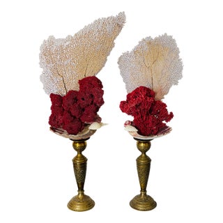 Gorgeous Pair of Sea Marine Assemblage on 19 Th C Brass Stands For Sale