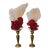 Gorgeous Pair of Sea Marine Assemblage on Stands For Sale