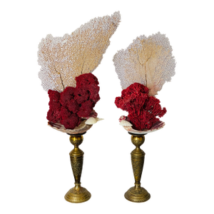 Gorgeous Pair of Sea Marine Assemblage on Stands