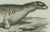 Bertuch, Four Seals, 1800, Engraving For Sale - Image 9 of 10