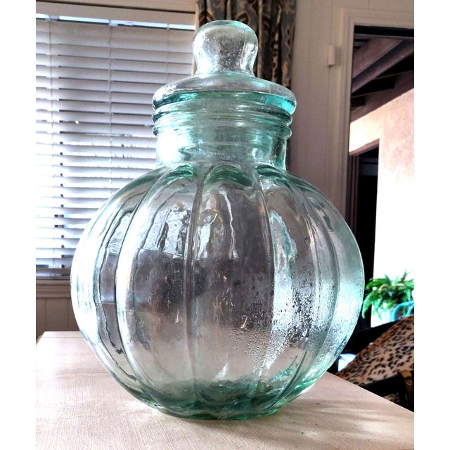Extra Large Clear Glass Green Tint Gourd Shaped Lidded Apothecary Jar