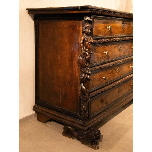 Brown Bergamo Chest of 4 Drawers with Winged Caryatids, Early 17th Century For Sale - Image 8 of 9