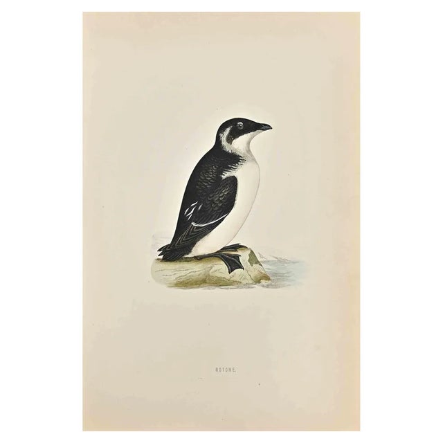 Alexander Francis Lydon, Rotche, Woodcut Print, 1870 For Sale