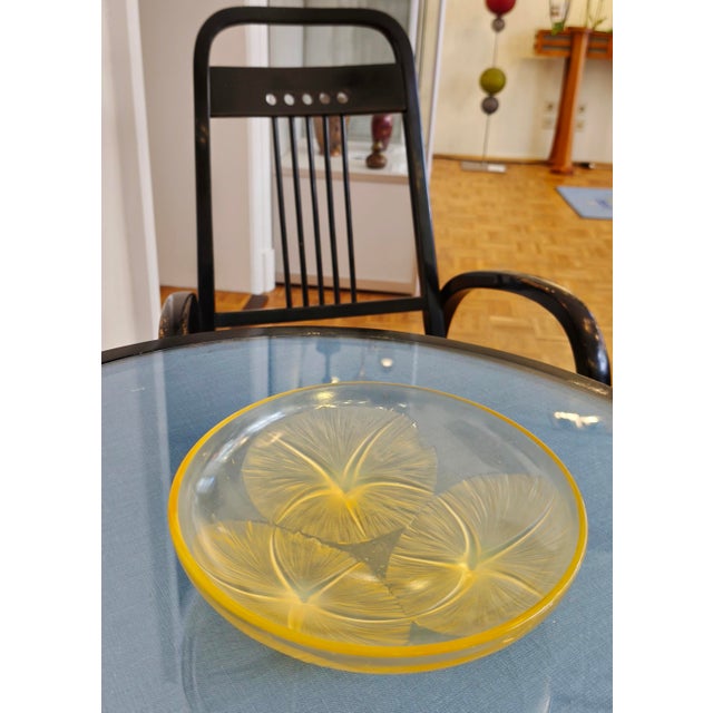 Vintage Amber and Opalescent Glass Bowl by René Lalique, 1920s For Sale - Image 9 of 10