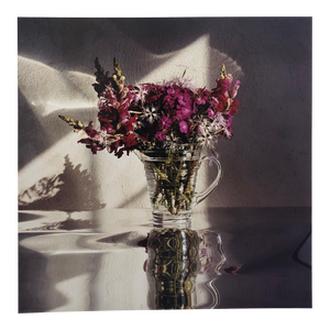 Peter C. Jones 1, Sweet Williams, Large Format Flowers Photo 24X20 Color Photograph Beach House, 2002