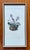 Vintage original botanical print published in 1956 of beautiful purple Alpine Snowbells (Soldanella alpina) and framed in...
