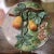 19th Century French Barbotine Faience Pear Wall Plate Longchamp For Sale In Dallas - Image 6 of 12
