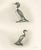After Lilian Medland, The Goosander and Smew, 1908, Print For Sale - Image 9 of 9