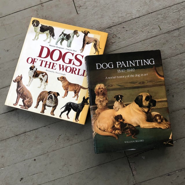 1980s Dogs of the World by Maurizio Bongianni & Concetta Mori For Sale - Image 13 of 13