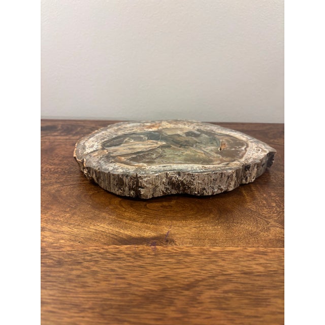 Vintage Petrified Wood Specimen Slab Catchall Tray, Sculptural Decor For Sale - Image 4 of 7