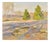 Valery Bayda, Evening Sun, 2026, Oil on Canvas & Cardboard For Sale