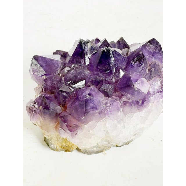 20th Century Press Paper in Amethyst, France For Sale - Image 6 of 9