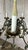 Italian Tole 10-Lights Florentine Chandelier With Original Polychrome Patina For Sale - Image 11 of 16
