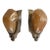 Antiqu Art Deco Slip Shade Wall Sconces - a Pair For Sale