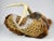 Late 20th Century Vintage Hand Woven Handmade Basket With Antler Handle For Sale - Image 5 of 12
