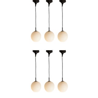 Opaline Glass Ceiling Lamps with Black Tulip Cone Cords, 1960s, Set of 6 For Sale