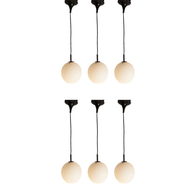 Opaline Glass Ceiling Lamps with Black Tulip Cone Cords, 1960s, Set of 6 For Sale