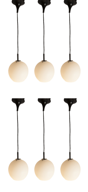Opaline Glass Ceiling Lamps with Black Tulip Cone Cords, 1960s, Set of 6