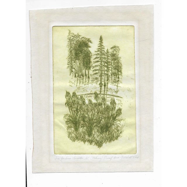 "Iris Gardens, Sumter SC" etching on paper, pencil titled and signed "Beth [last name illegible]" Combined shipping...