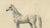 Black August Jäger, Horse Bairaktar, 1846, Paper Lithograph For Sale - Image 8 of 10