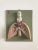 Anatomical 3-Dimensional Picture, Germany, 1950s For Sale - Image 6 of 6