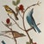 1960s Audubon Birds of America print, Warblers and Bluebirds, ready to mat and frame.