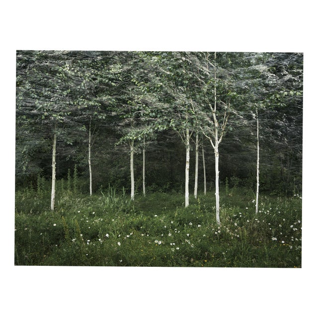 Ellie Davies, Seascapes 2, 2020, Print For Sale