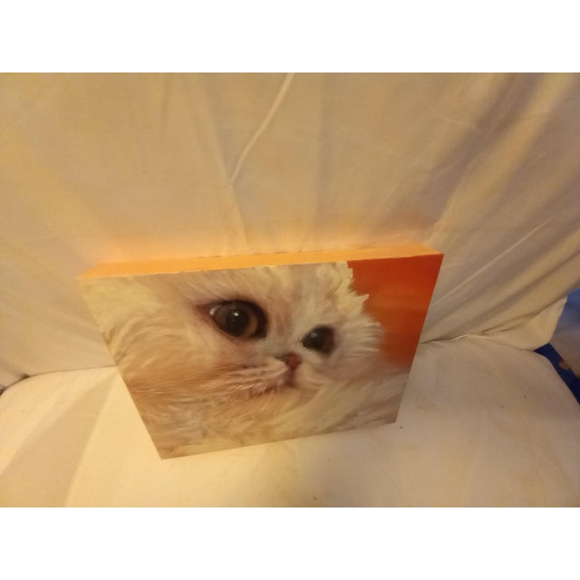 Realism Coco White Himalayan Cat 11x14 Oil Painting For Sale - Image 3 of 4