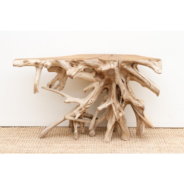 Wood Organic Modern Freeform Root Console Table For Sale - Image 7 of 11