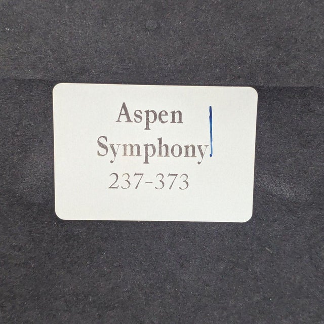 Printmaking Materials Crate & Barrel Pam Spicer “Aspen Symphony” Framed Print For Sale - Image 7 of 7