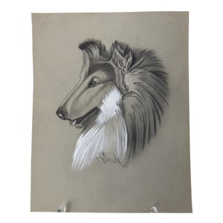 1940s Original Signed Graphite Illustration of Collie, 11.5 × 9.25 In. For Sale