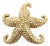 18k Yellow Gold Big Starfish Pin For Sale