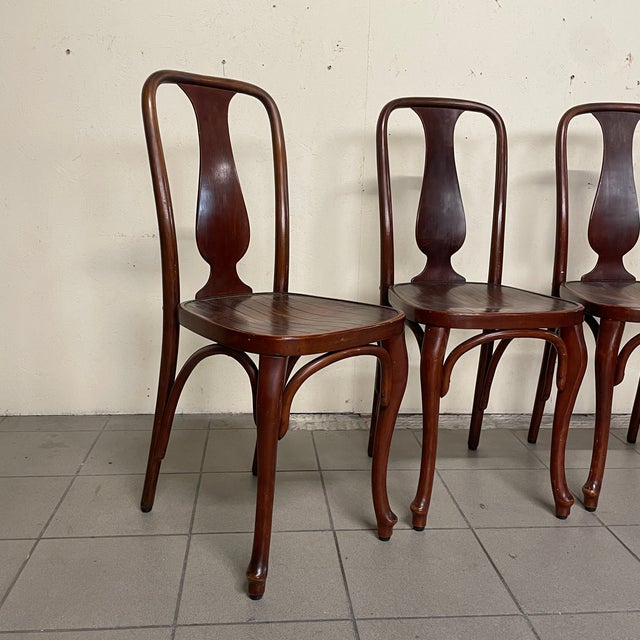 Vintage Chairs in Bent Wood by J.&J. Kohn Vienna, 1900s, Set of 5 For Sale - Image 14 of 18