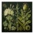 Dark Green Antique Botanical Garden Study No. 1 - Natural History Fine Art Print For Sale